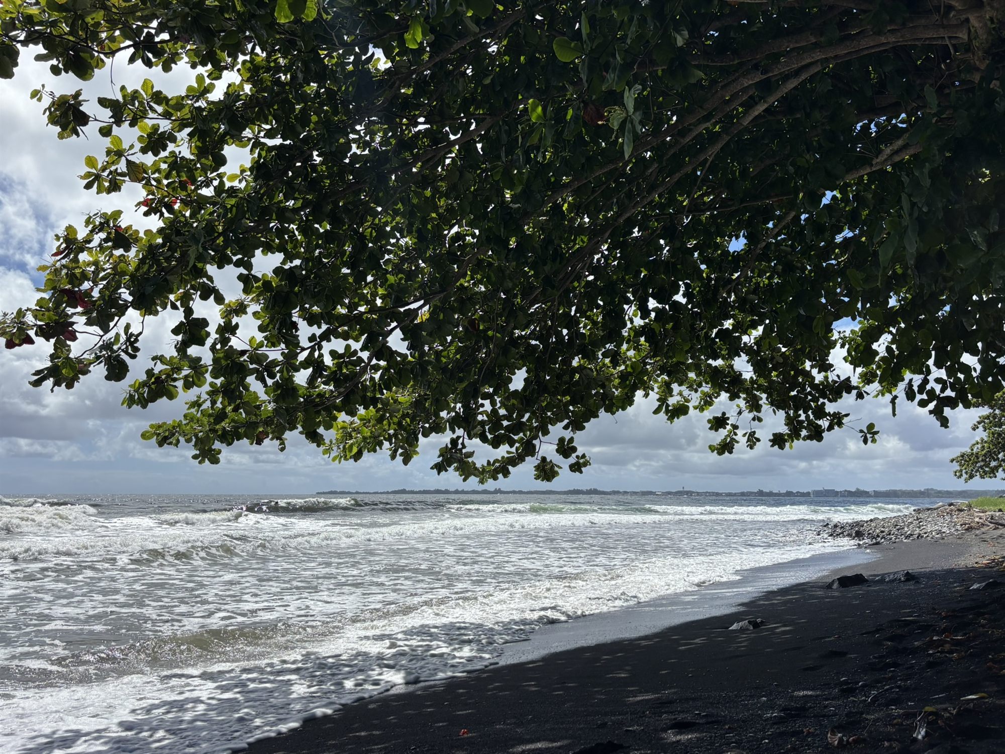 Waves washing onto the black sand at Honoliʻi Beach Park beneath a shade tree